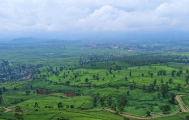 Theeplantage Gunung Mas in Bogor met groene terrassen, heuvels en bewolkte hemel.