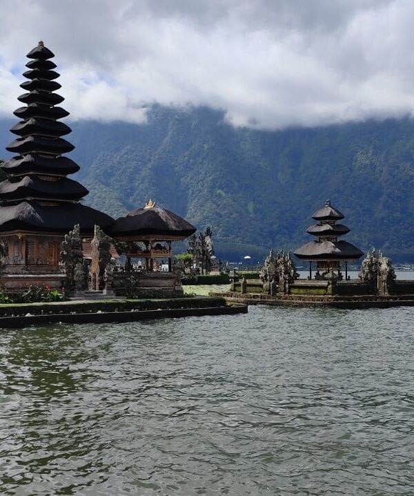 "Prachtige groene rijstvelden van Ubud tijdens een Vakantie Bali."